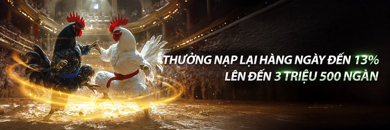 Hình ảnh chính RT88 khuyến mãi - Câu hỏi thường gặp